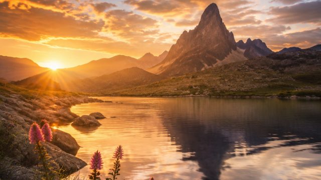 Exploring Nature Through Photography: The Best Wallpaper Inspirations