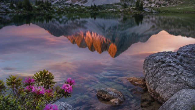 Embrace the Serenity of Nature: Wallpapers for Tranquil Moments