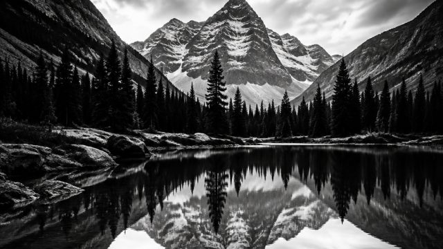 The Power of Black and White Photography in Design