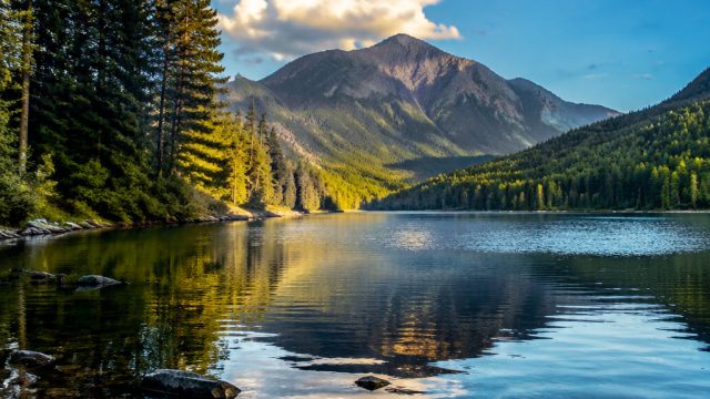 Nature's Serenity: Captivating Wallpapers for a Calming Escape