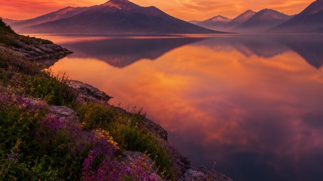 Embrace Tranquility with Colorful Modern Wallpapers