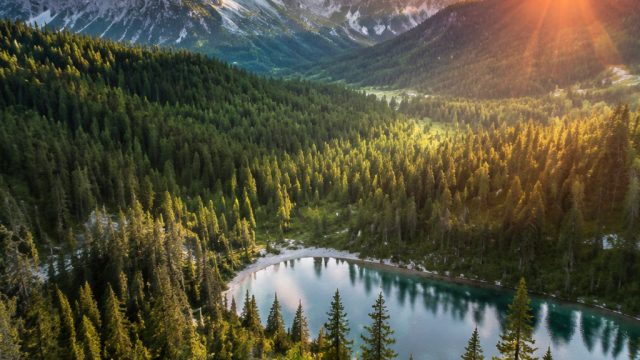 Discover Tranquil Nature Scenes for Your Screen