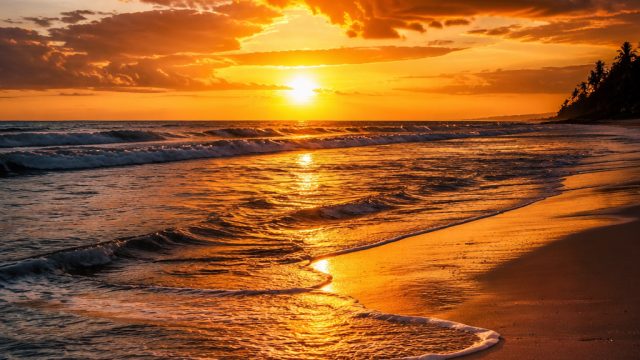 Elevate Your Screens with Stunning Visuals: A Fresh Wallpaper Gallery