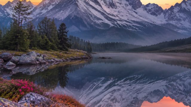 Visual Artistry: Elevate Your Home with Artistic Photography Wallpapers