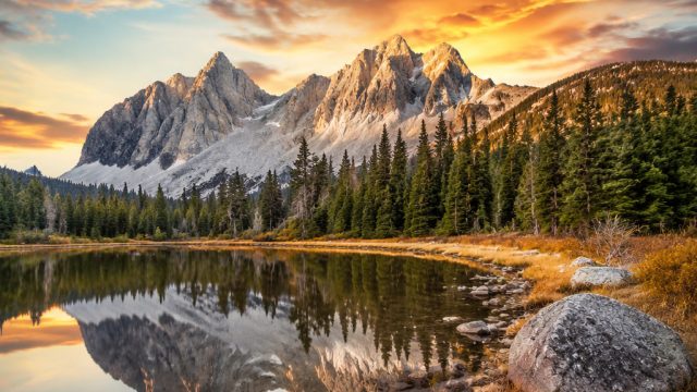 Captivating Nature Wallpapers for Your Devices