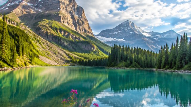 Embrace Tranquility: Serene Nature Wallpapers for Your Device