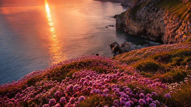 Captivating Sunset Landscapes: Evoking Serenity and Wonder
