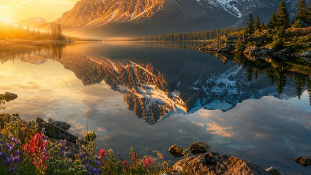 Stunning Visual Journeys: Transform Your Screens with Nature's Beauty