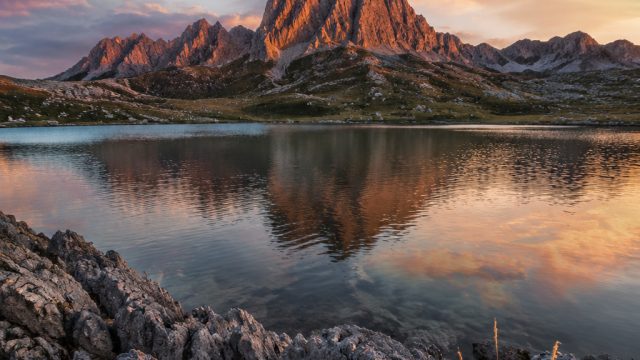 Captivating Visual Themes for Your Digital Wallpaper Collection