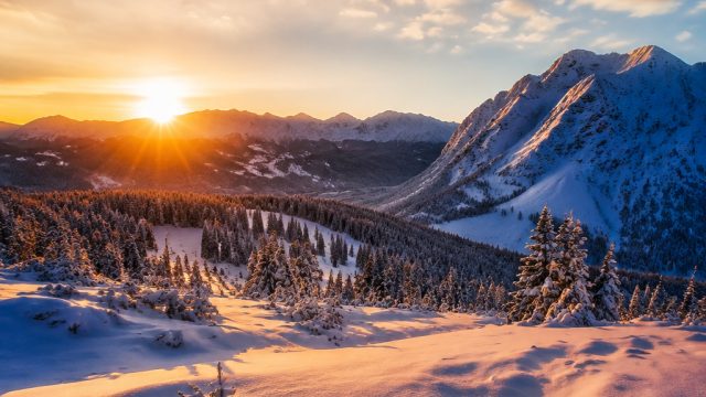 Embrace the Chill: Stunning Winter Landscapes for Your Screen