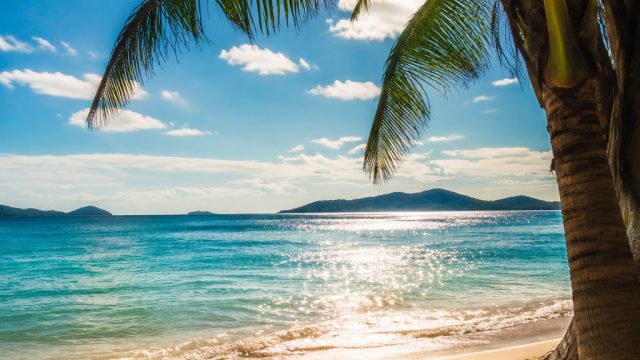 Breathe in the Heat: Stunning Summer Vibes for Your Screen