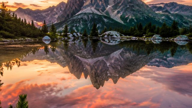 Captivating Visuals: Explore Stunning Phone and Desktop Wallpapers