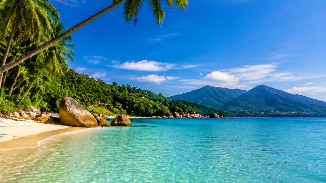 Captivating Visuals: The Allure of Caribbean Landscapes