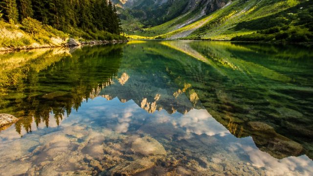 Exploring the Beauty of Nature: Captivating Photography That Transforms Your Space