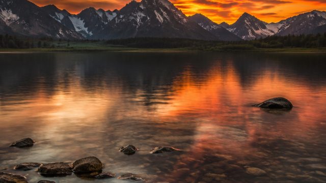 Discover the Art of Photography: Elevate Your Space with Unique Wall Decor