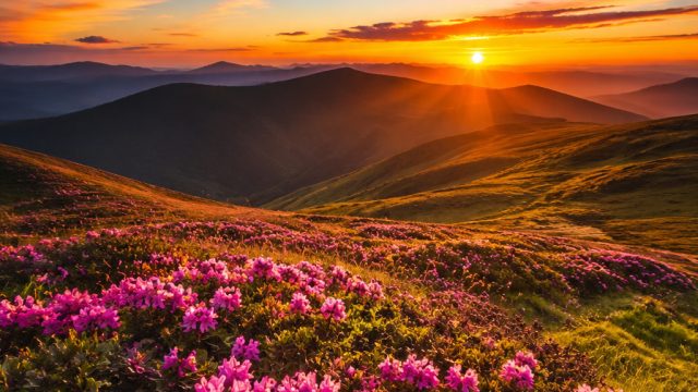 Harnessing the Power of Color in Photography for Home Decor