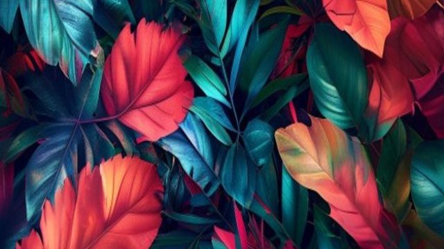 Revitalizing Spaces: Captivating Digital Backgrounds for Every Mood