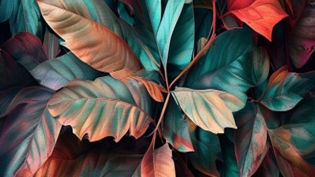 Exploring the Art of Wallpaper Photography: A Visual Journey