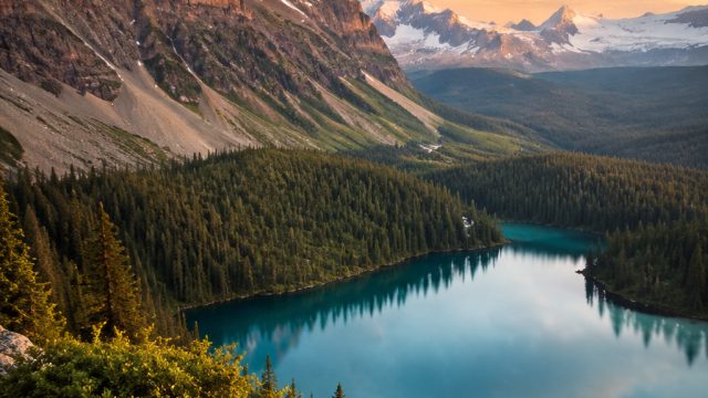 Discover the Serenity of Nature in Stunning Wallpapers