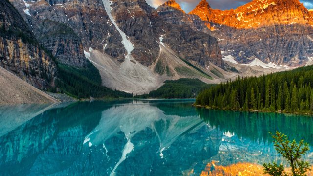 10 Photography Trends Revolutionizing Wallpaper Design in 2023