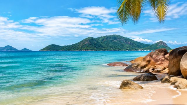 Embrace Serenity with Tropical Beach Vibes for Your Screens
