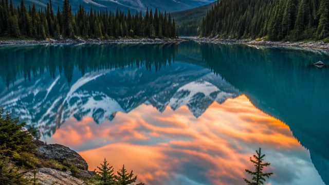 Photography Techniques for Stunning Wallpaper Designs
