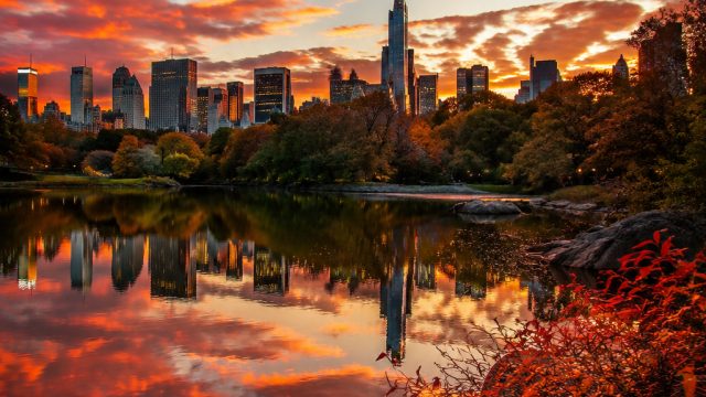 Dynamic Urban Palette: Fire and Nature in Harmony