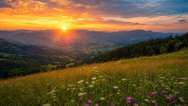 Transform Your Screen with Serene Nature Wallpapers
