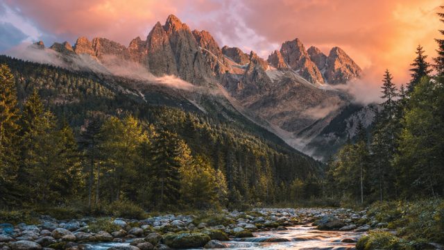 Transform Your Screen with Vibrant Visuals: A Gallery Experience