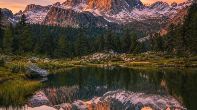 Captivating Photography: How to Use Wallpapers to Enhance Your Home Decor