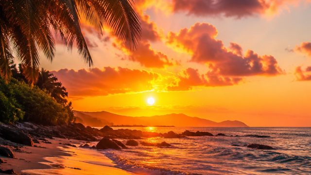 Captivating Summer Vibes: Embracing Heatwave Aesthetics