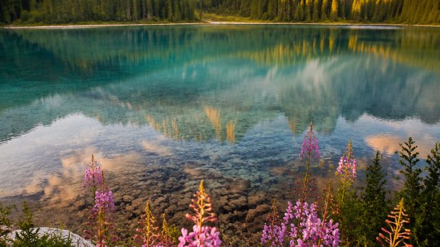 Captivating Nature: Stunning Wallpapers That Inspire Serenity