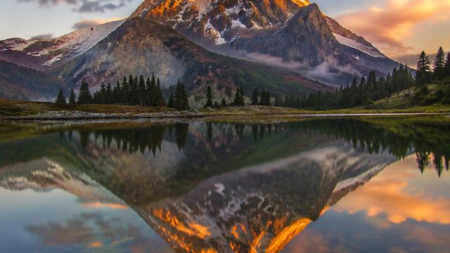 Captivating Visual Serenity: Your Next Favorite Wallpaper Theme