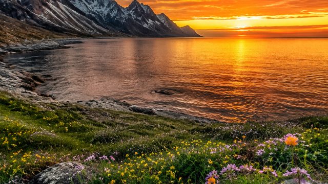Elevate Your Screen: Stunning Nature Wallpapers for Every Mood