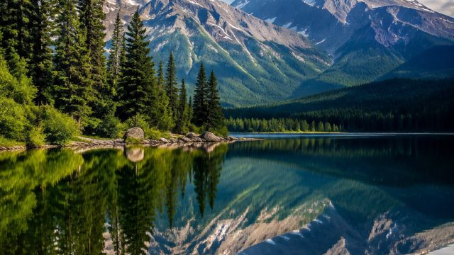 Explore the Tranquil Beauty of Nature Through Our Wallpapers