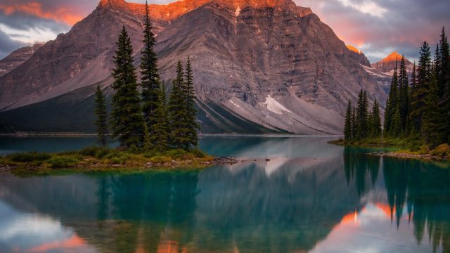 Transform Your Screen: Aesthetic Wallpapers for Modern Devices
