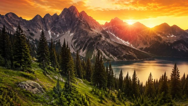 Discover the Charm of Nature with Our Stunning Wall Art