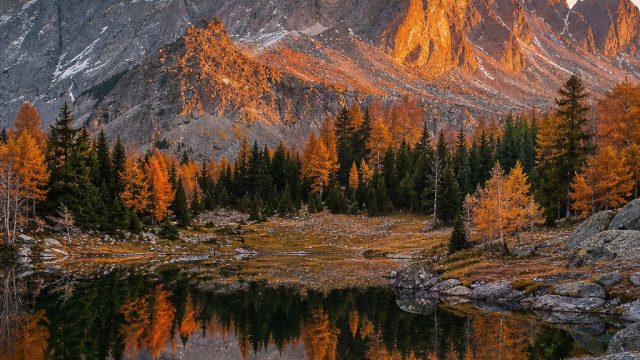 Transform Your Space with Stunning Nature-Inspired Wallpapers