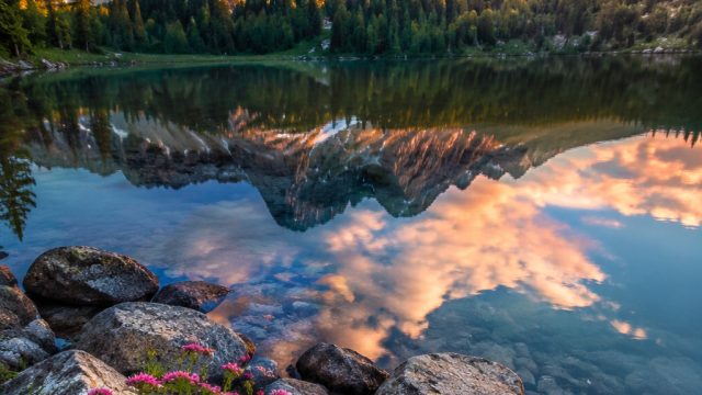 Captivating Nature: A Tranquil Escape in Your Screens