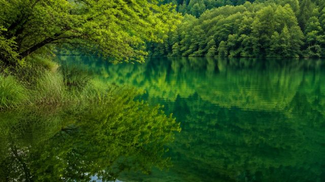 Nature's Reflection: Tranquil Green Waters for Your Screen