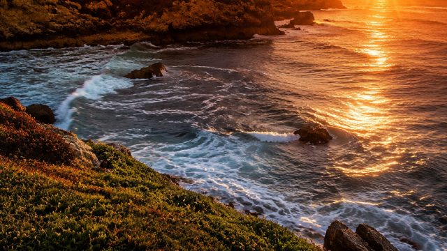 Dynamic Visual Journeys: Captivating Wallpaper Themes for 2023