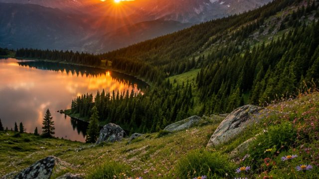 Captivating Nature: Stunning Wallpapers to Elevate Your Screens