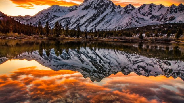 Capture Elegance: Stunning Wallpapers for Every Device