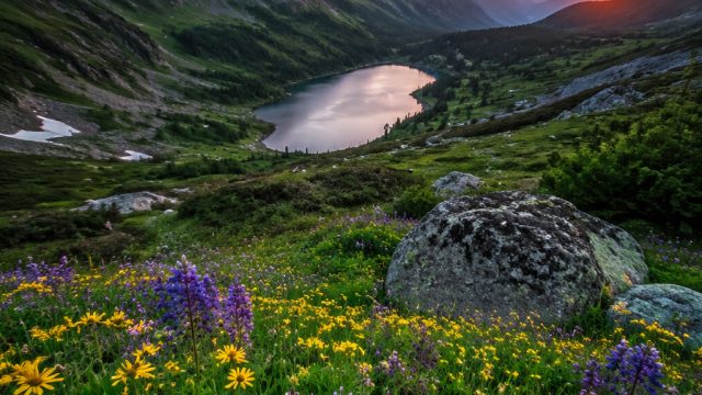 Ethereal Dreamscapes: Capturing the Essence of Nature