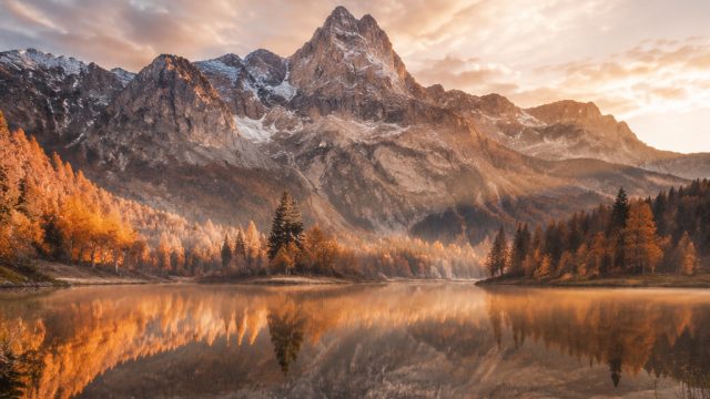 Embrace the Art of Visual Serenity: A Wallpaper Experience