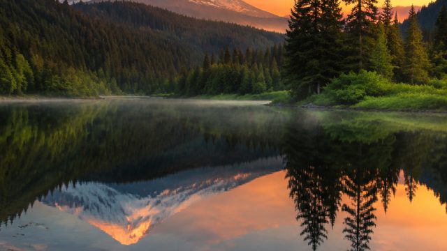 Captivating Essence of Nature: Wallpapers that Inspire