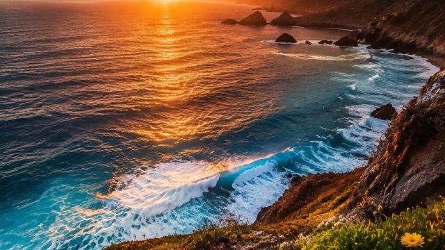 The Best Photography Styles for Wallpaper: A Curated Collection