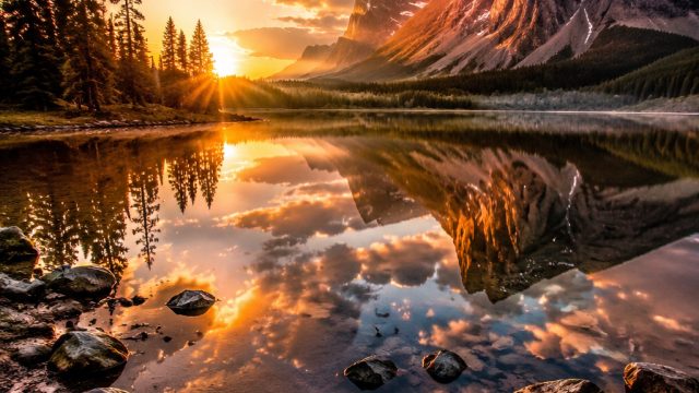 Capturing Moments: The Role of Photography in Creating Timeless Wallpapers