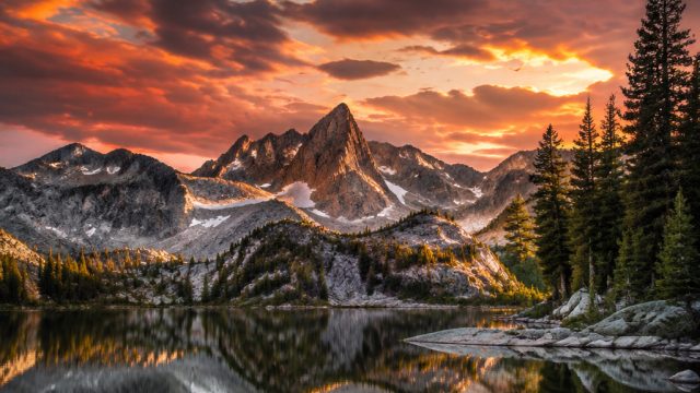 Capturing Nature: How Photography Enhances Wallpaper Designs
