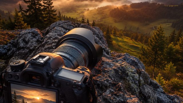 From Pixels to Prints: The Journey of Photography in Wallpaper Creation